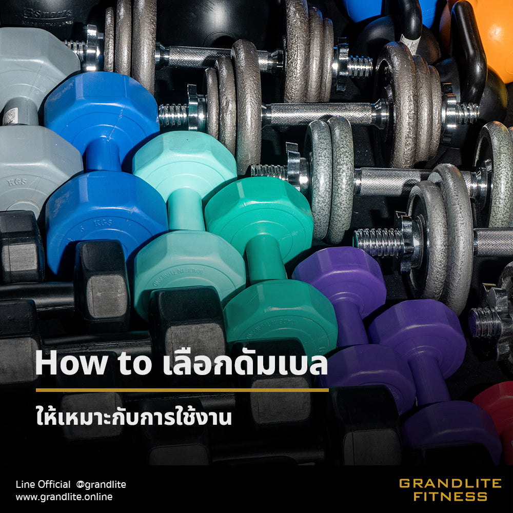 How to เลือกดัมเบลให้เหมาะกับการใช้งาน