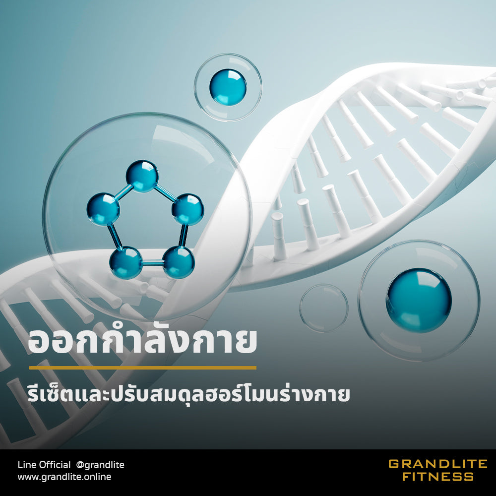 ออกกำลังกายช่วยปรับฮอร์โมนอะไรบ้าง?