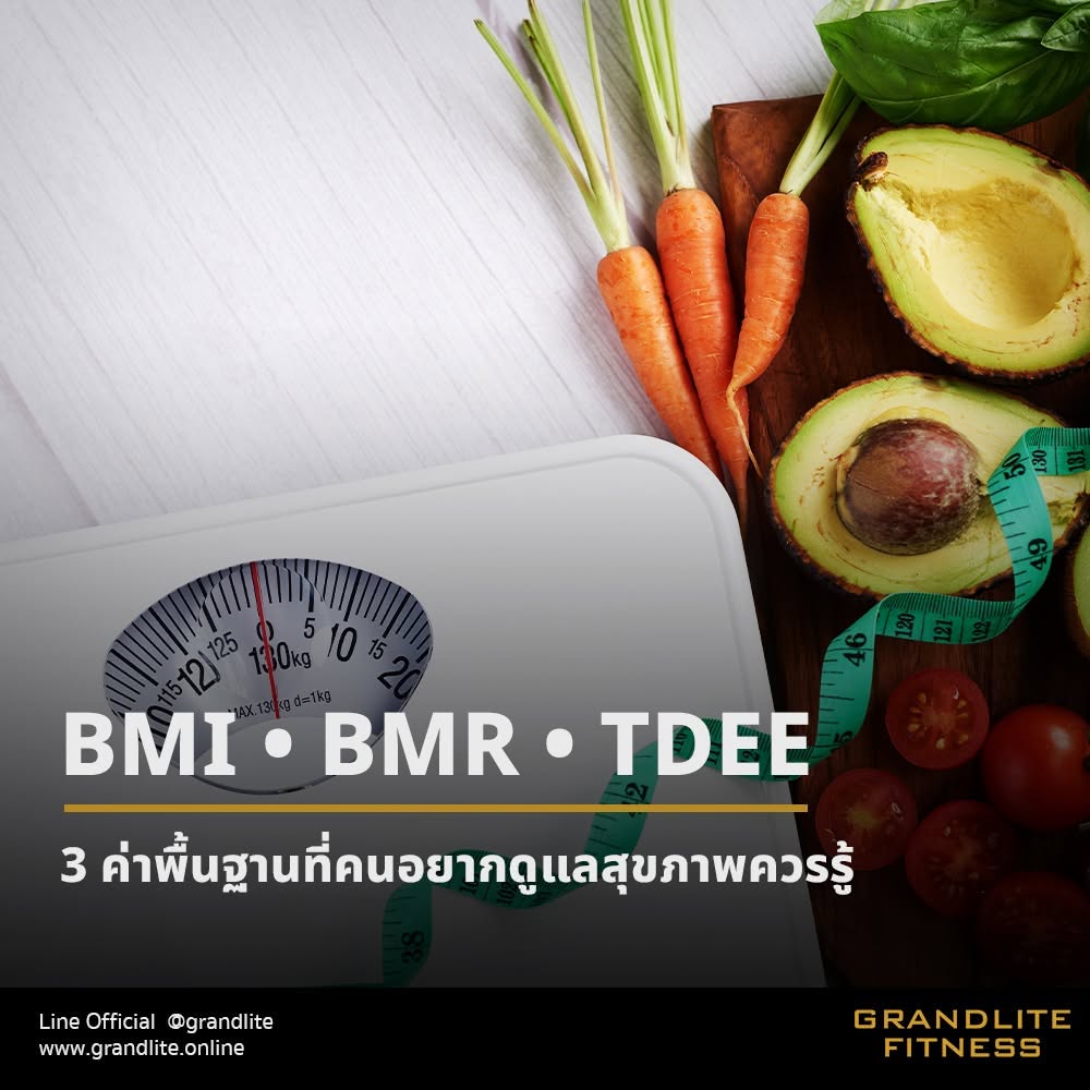 BMI • BMR • TDEE