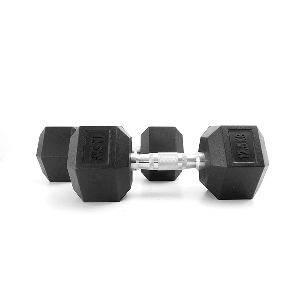 ดัมเบลเหล็ก หุ้มยางทรงหกเหลี่ยม | RUBBER HEX DUMBBELLS 12.5kg