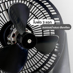 พัดลมตั้งโต๊ะ 10 นิ้ว Desk Fan | TF-1001