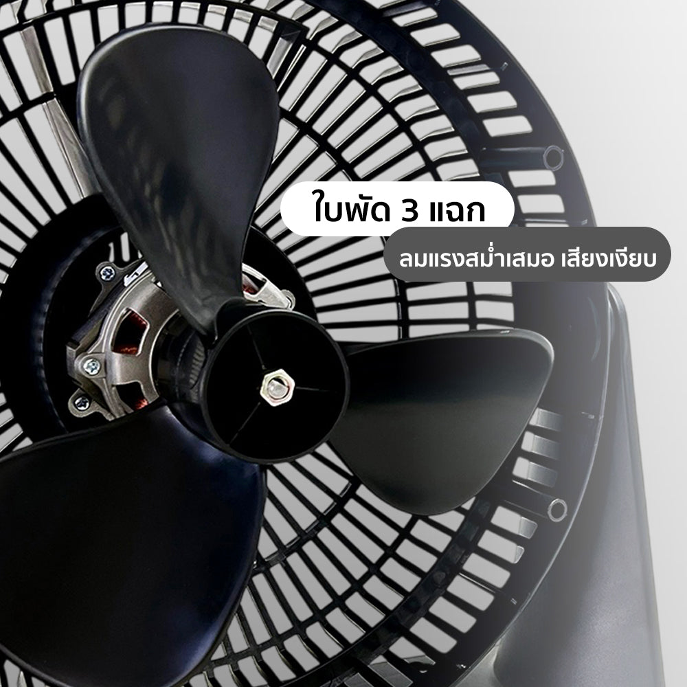 พัดลมตั้งโต๊ะ 10 นิ้ว Desk Fan | TF-1001