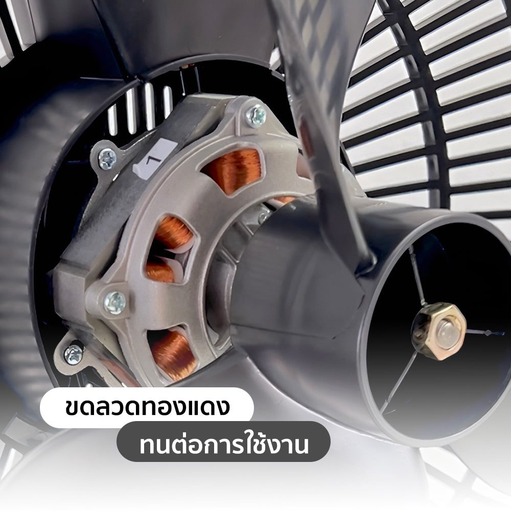 พัดลมตั้งโต๊ะ 10 นิ้ว Desk Fan | TF-1001