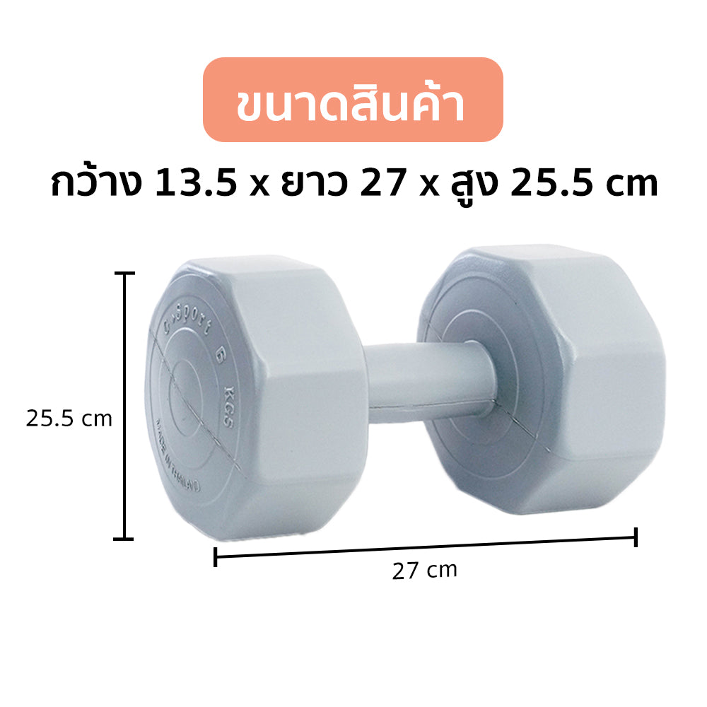 ดัมเบล พลาสติก แพ็คคู่ Dumbbell 6kg x2 | DB6