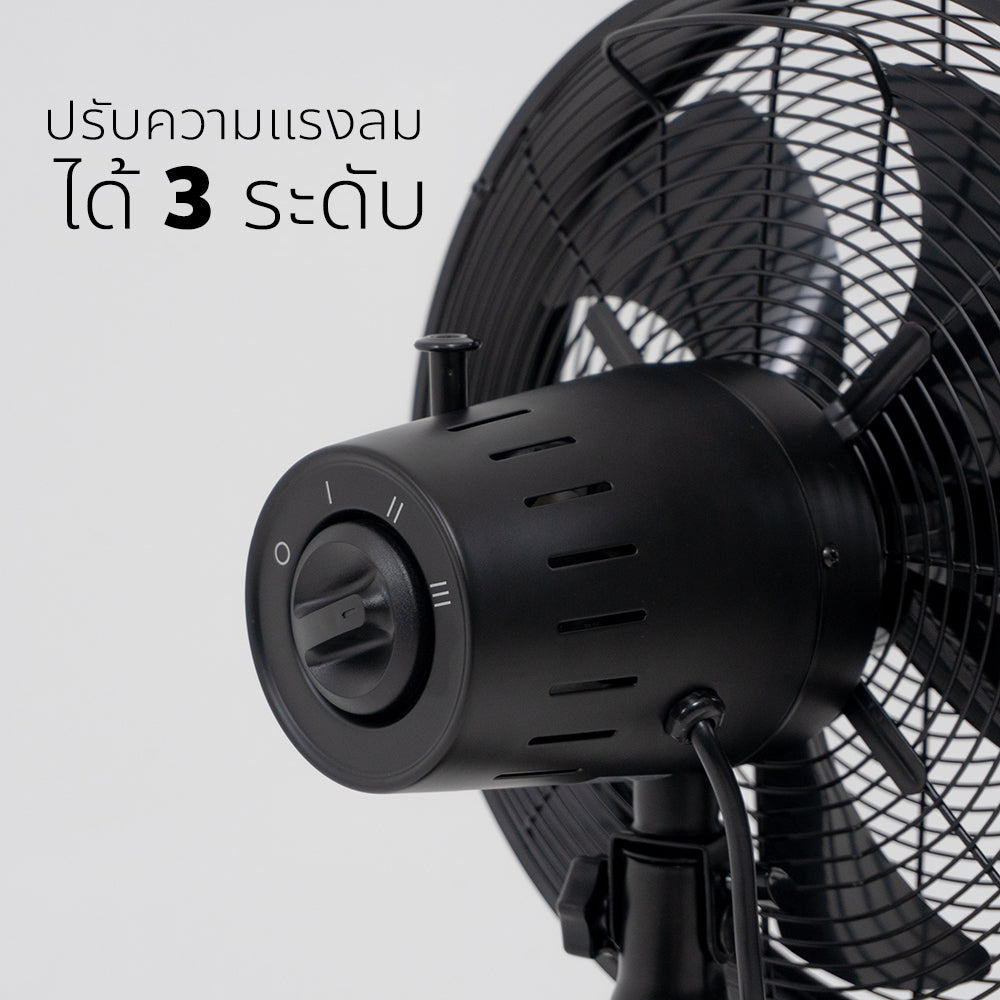 พัดลม ตั้งโต๊ะ 12 นิ้ว Desk Fan | FT-30ME