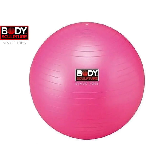 ลูกบอลยิม 26 นิ้ว Gym Ball 26inch | BB-001TR