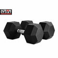 Altrom Sport ดัมเบลเหล็กหุ้มยางทรงหกเหลี่ยม 25 kg | Rubber Hex Dumbbell 25kg
